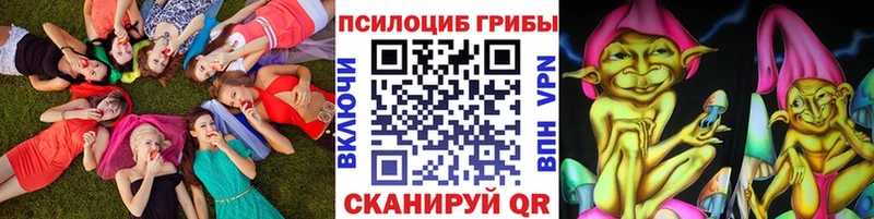 Псилоцибиновые грибы Cubensis Елабуга