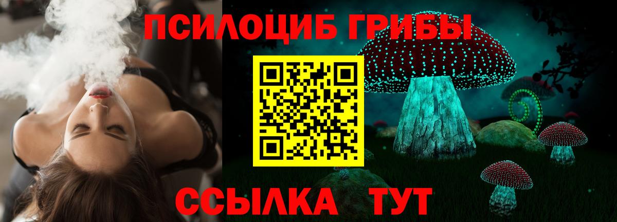 Галлюциногенные грибы Psilocybine cubensis  Вход с VPN  Елабуга 